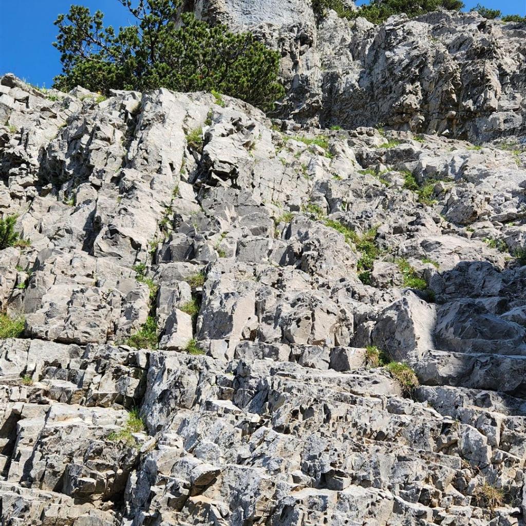 Kraxelei zum Zingerstein (Alpenrosensteig)