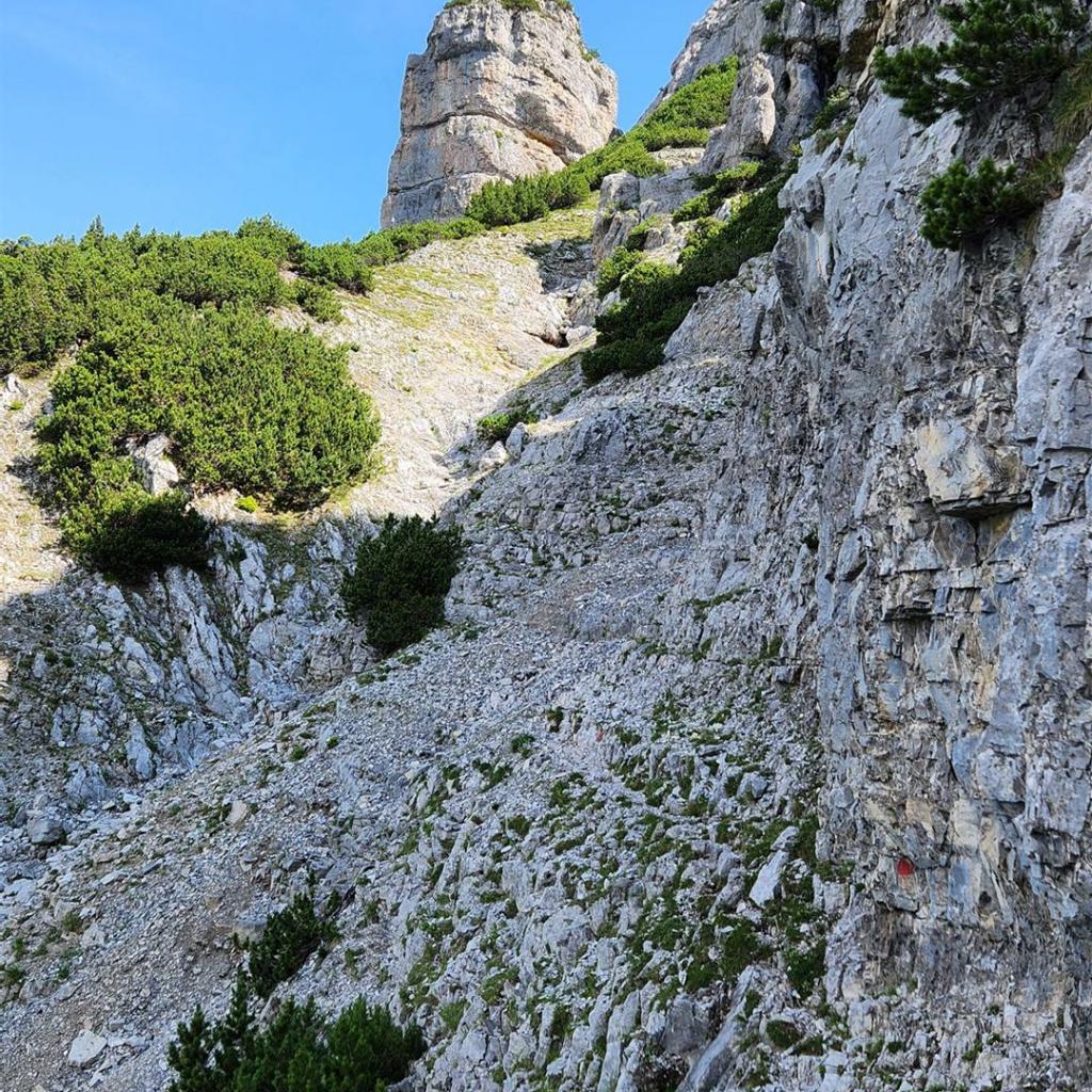 Kraxelei zum Zingerstein (Alpenrosensteig)