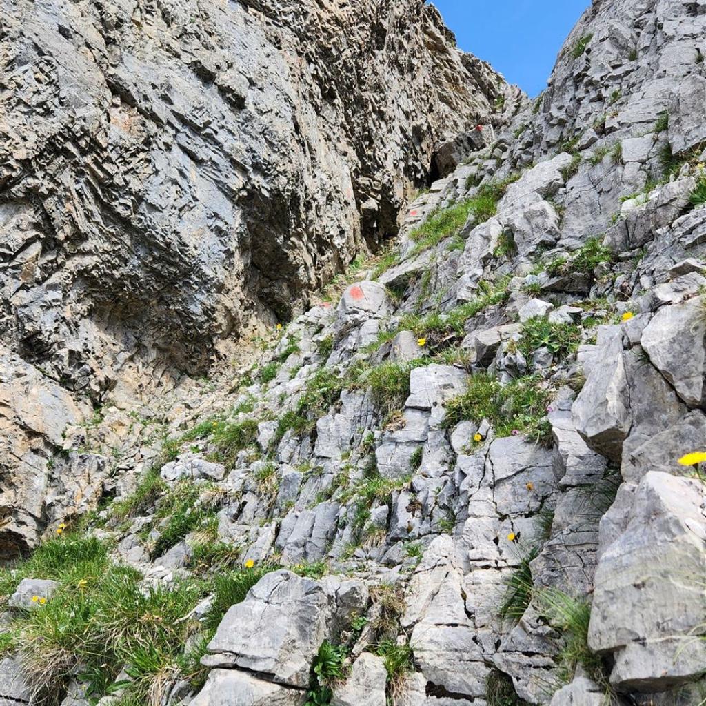 Kraxelei zum Zingerstein (Alpenrosensteig)