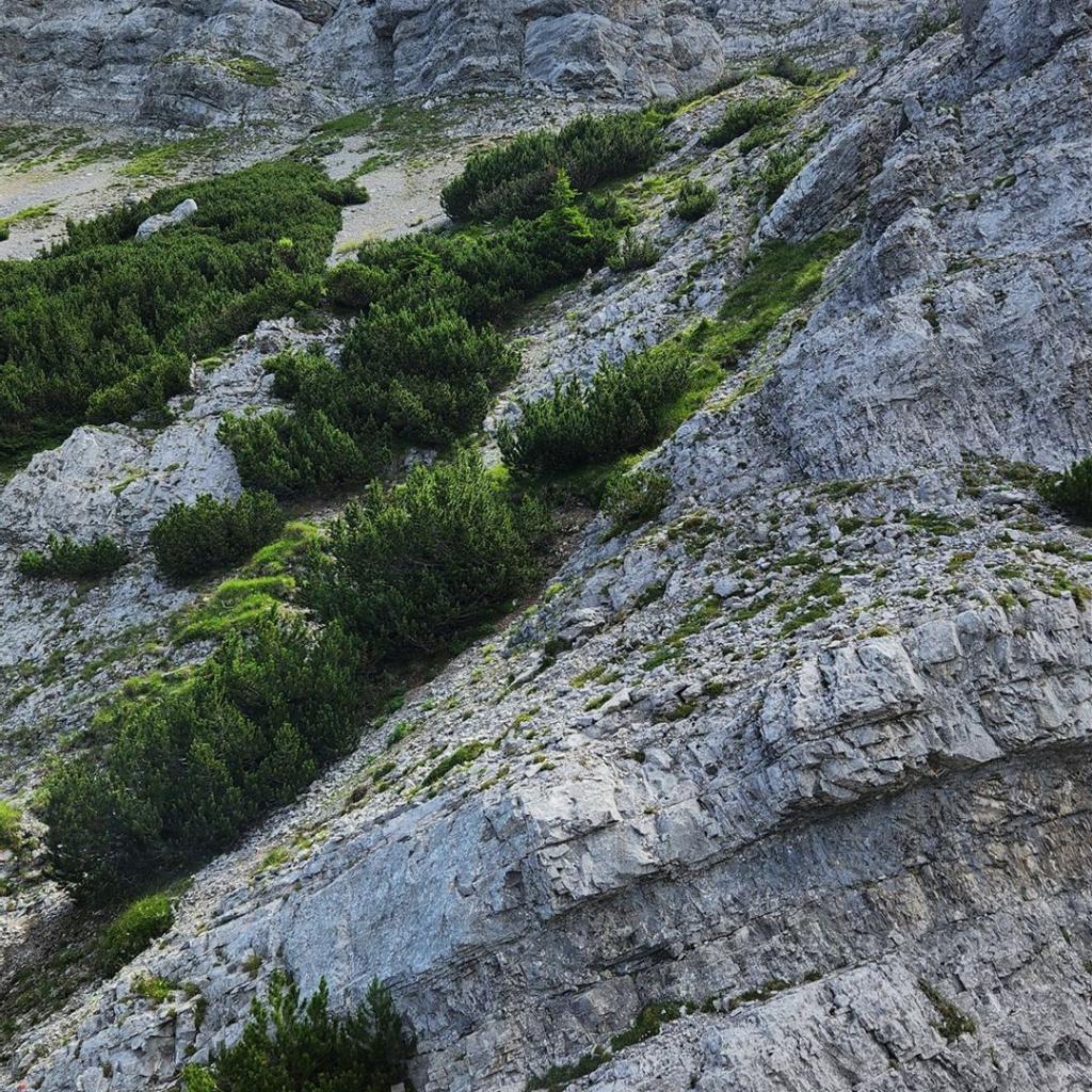 Blick hinüber zum Aufstieg auf die Kohlbergspitze