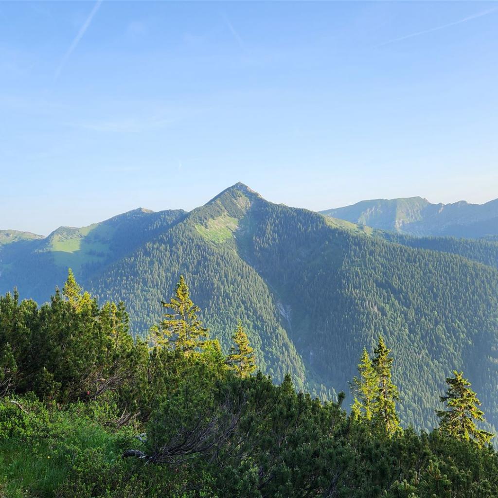 Blick hinüber zur Scheinbergspitz
