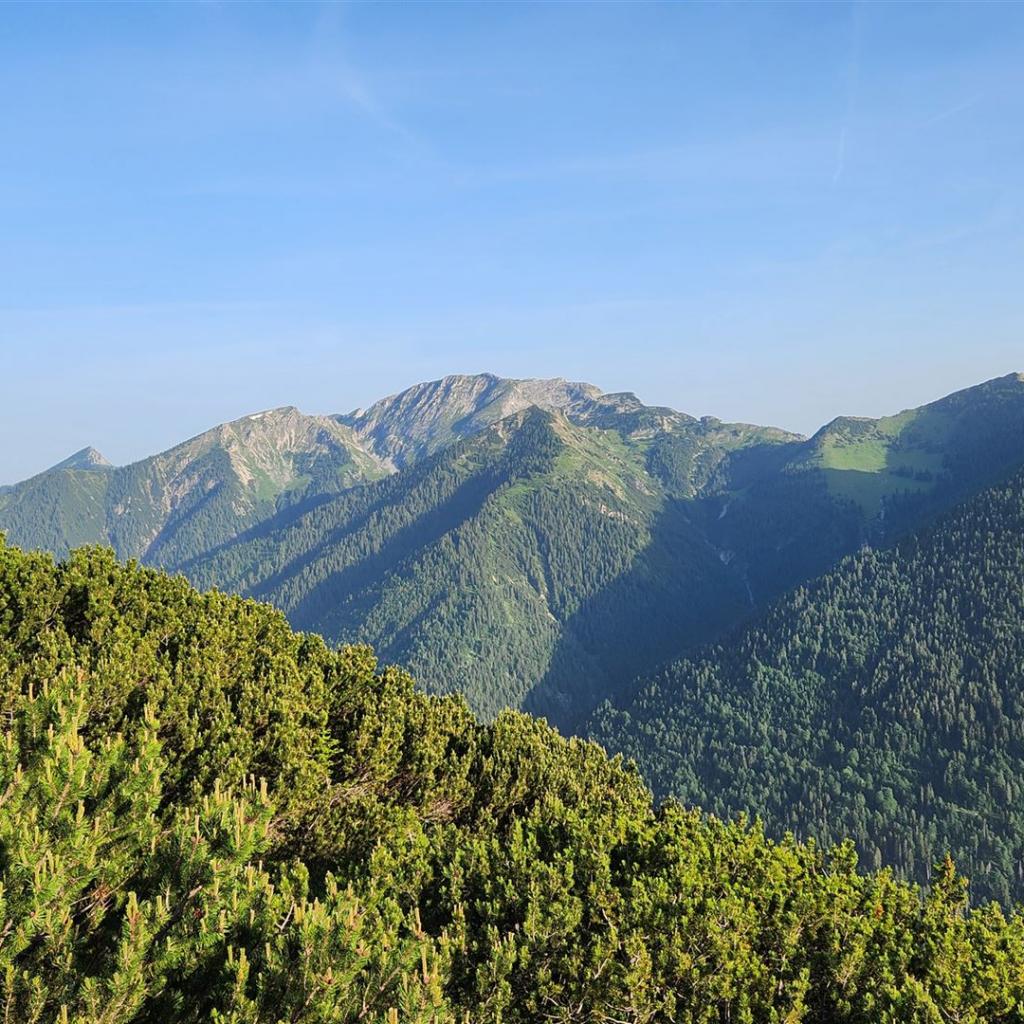 Blick hinüber zur Hochplatte, links der Säuling, rechts die Scheinbergspitz