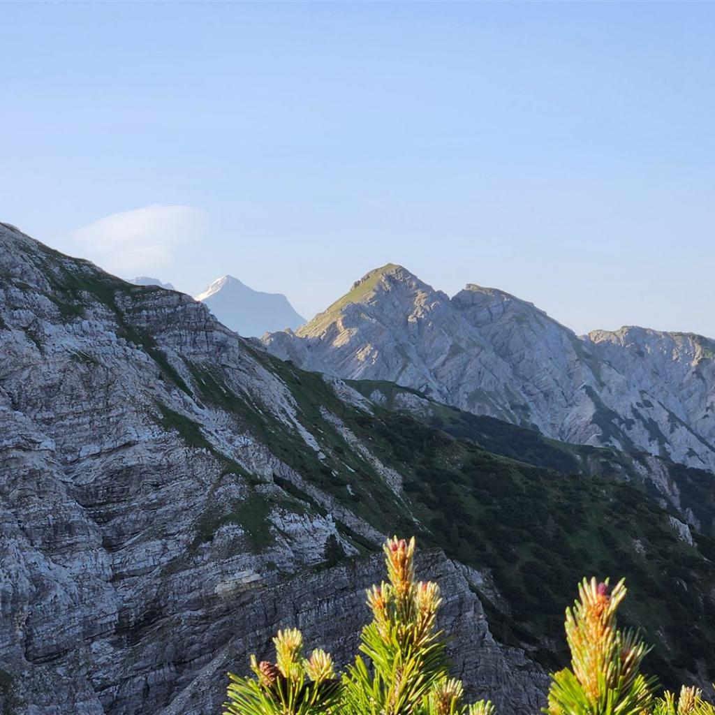Schellschlicht und Schneefernerkopf (im Hintergrund)