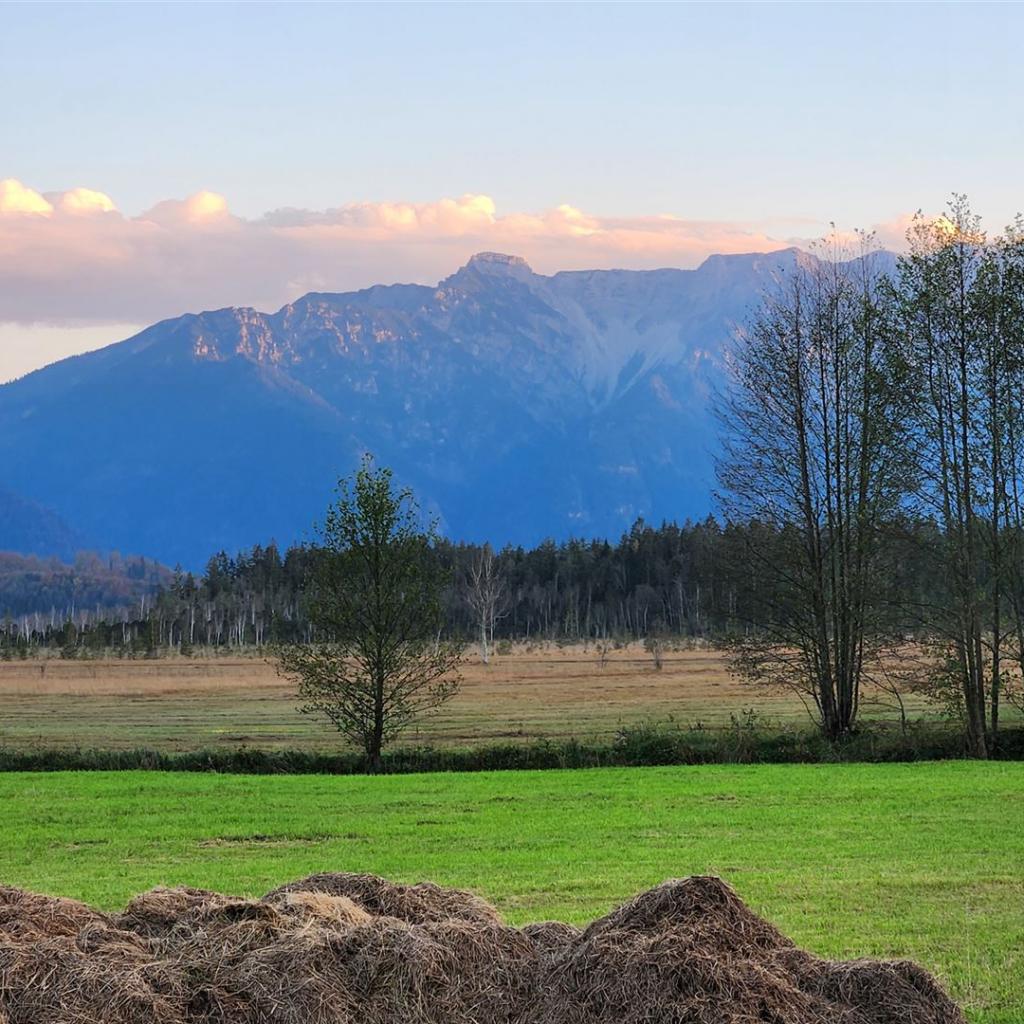 Murnauer Moos und Hohe Kisten 