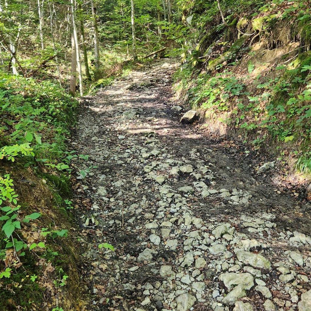 Über Stock und Stein