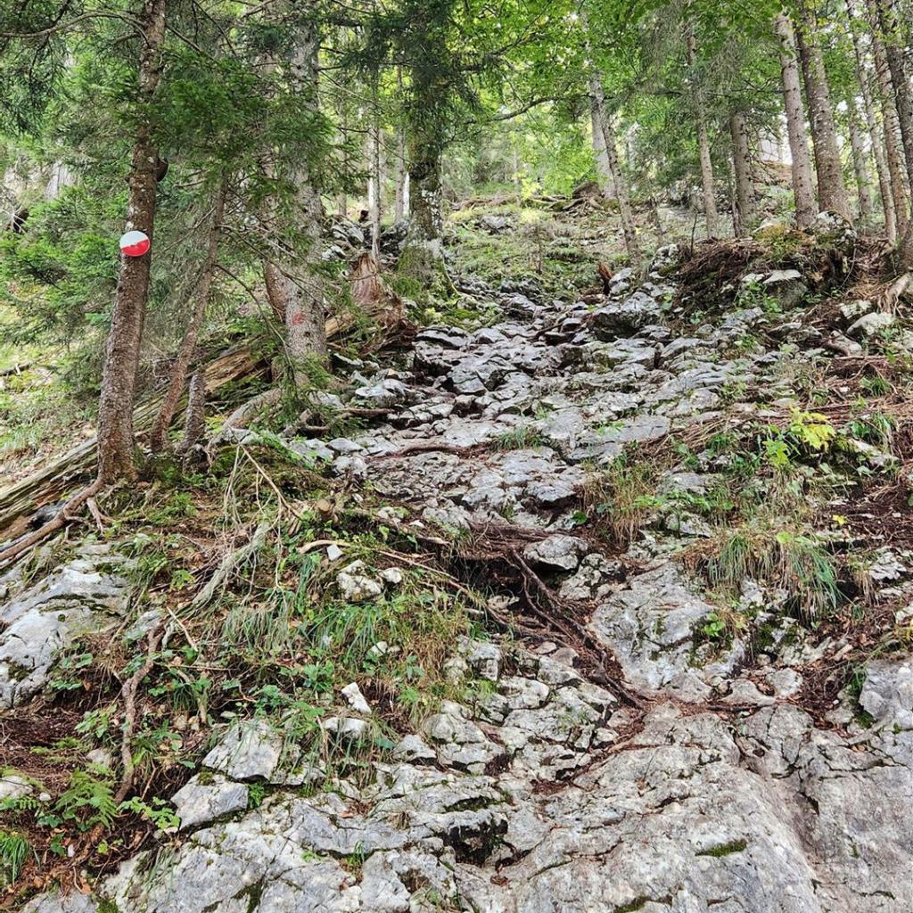 Typische Kraxelei auf den Leonhardstein