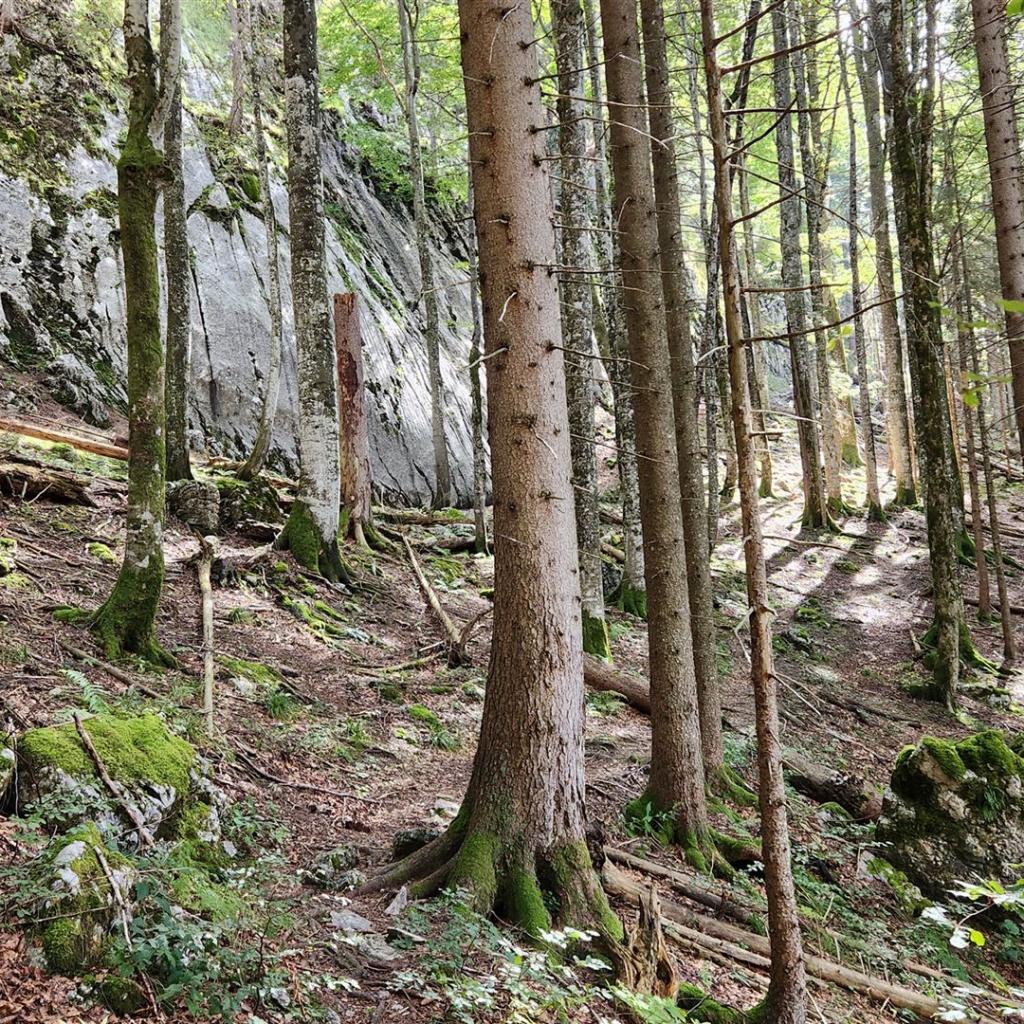 An der Felswand entlang