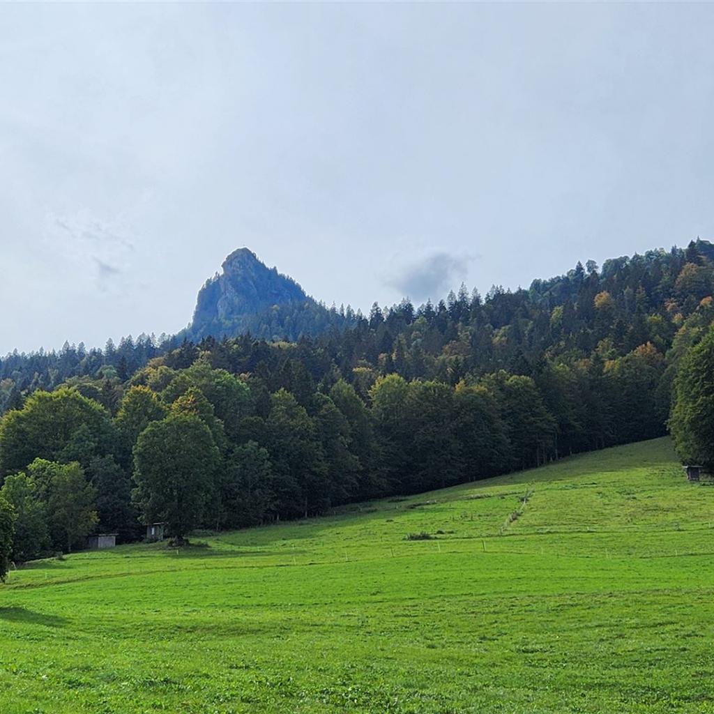 Blick zurück zum Leonhardstein