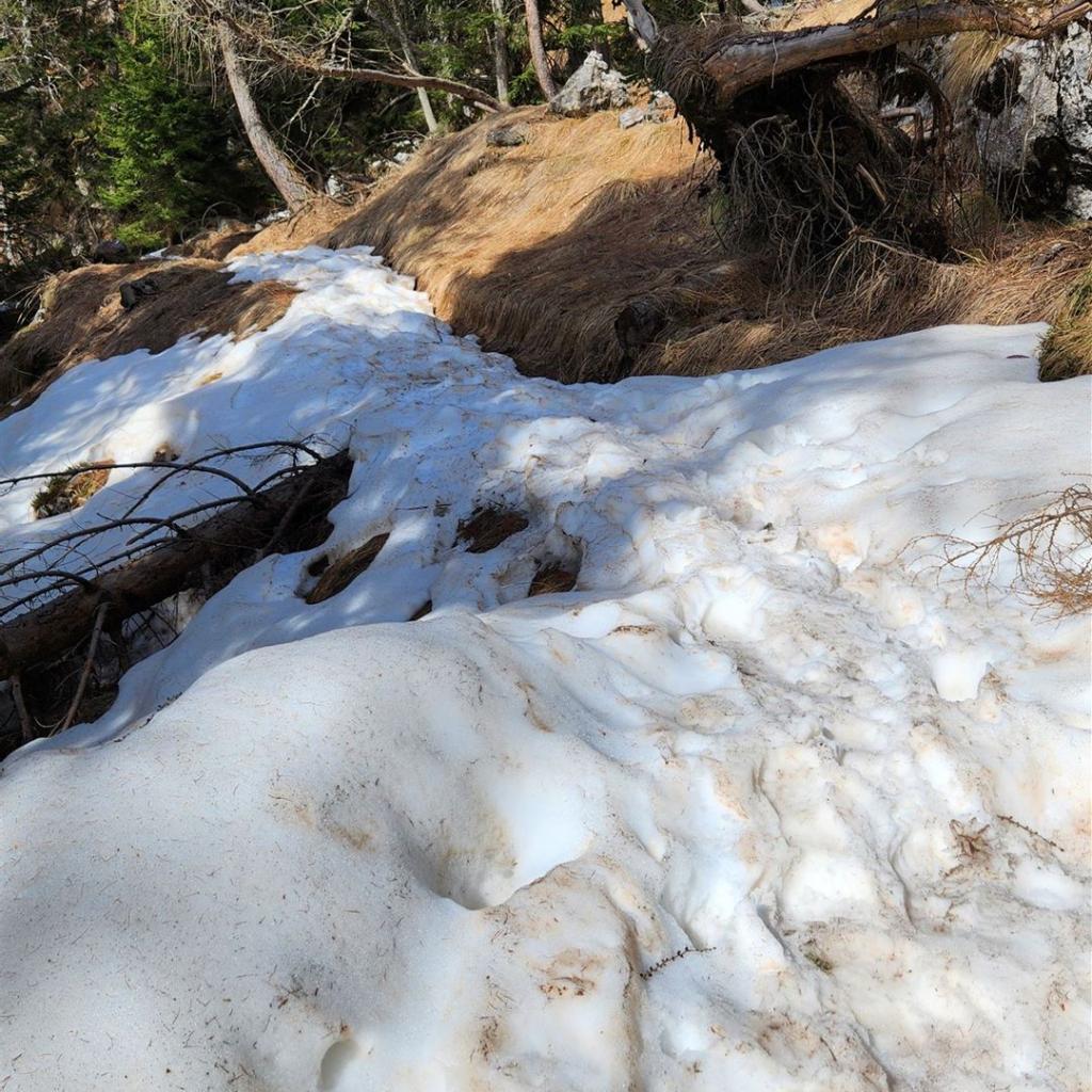 Restschnee auf dem Wanderweg