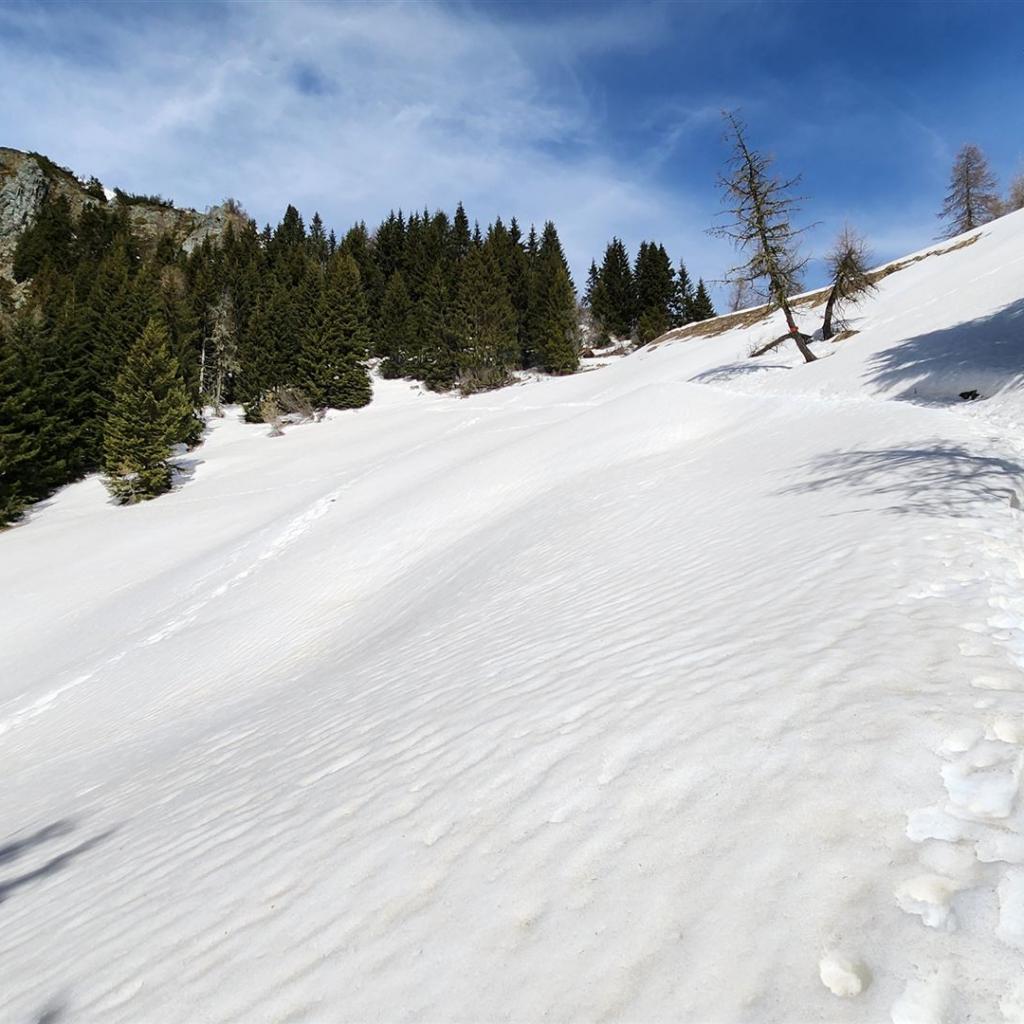 Schneefeld über dem Wanderweg
