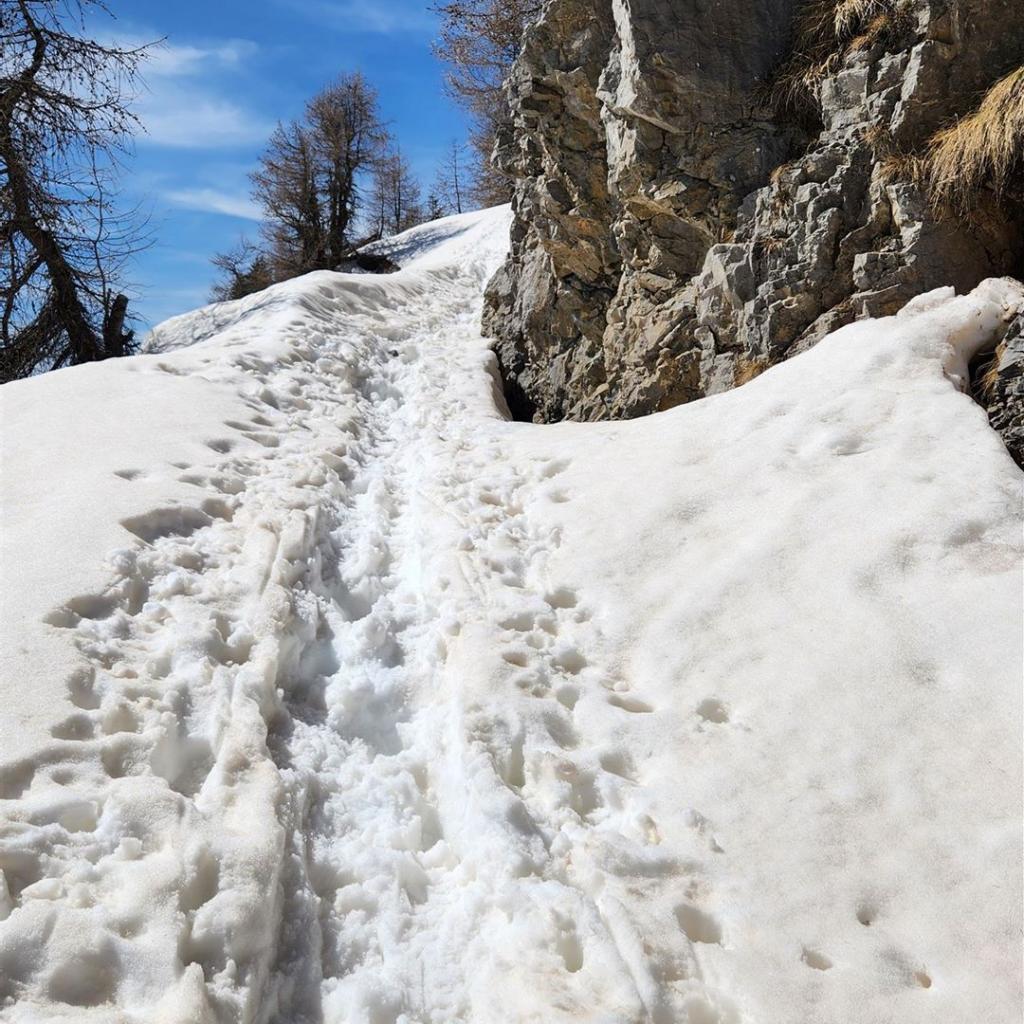 Die letzten Meter bis zum eigentlichen Gipfel