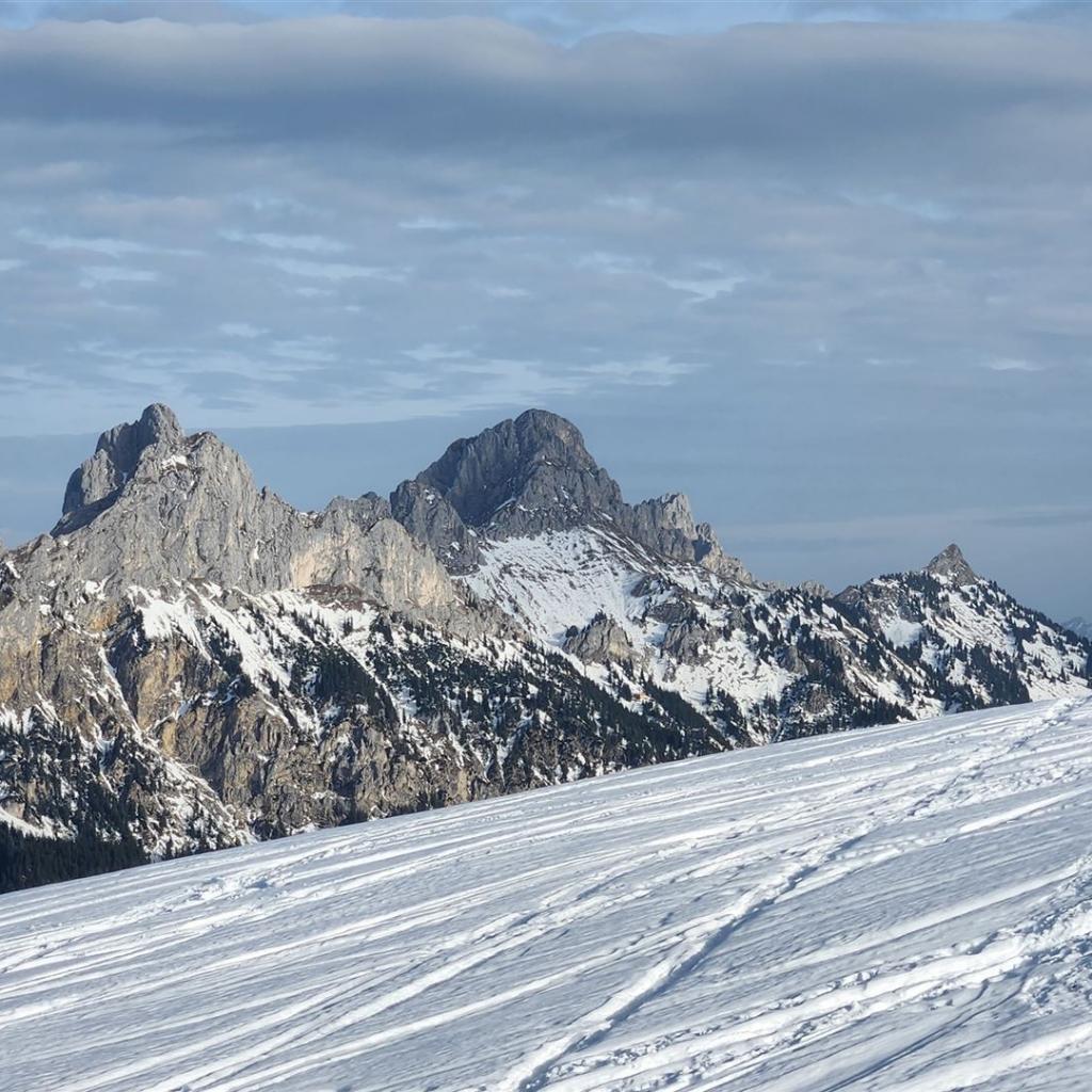 Gimpel und Kellenspitze