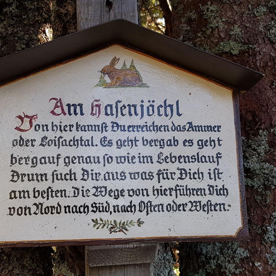 Am Hasenjöchl
