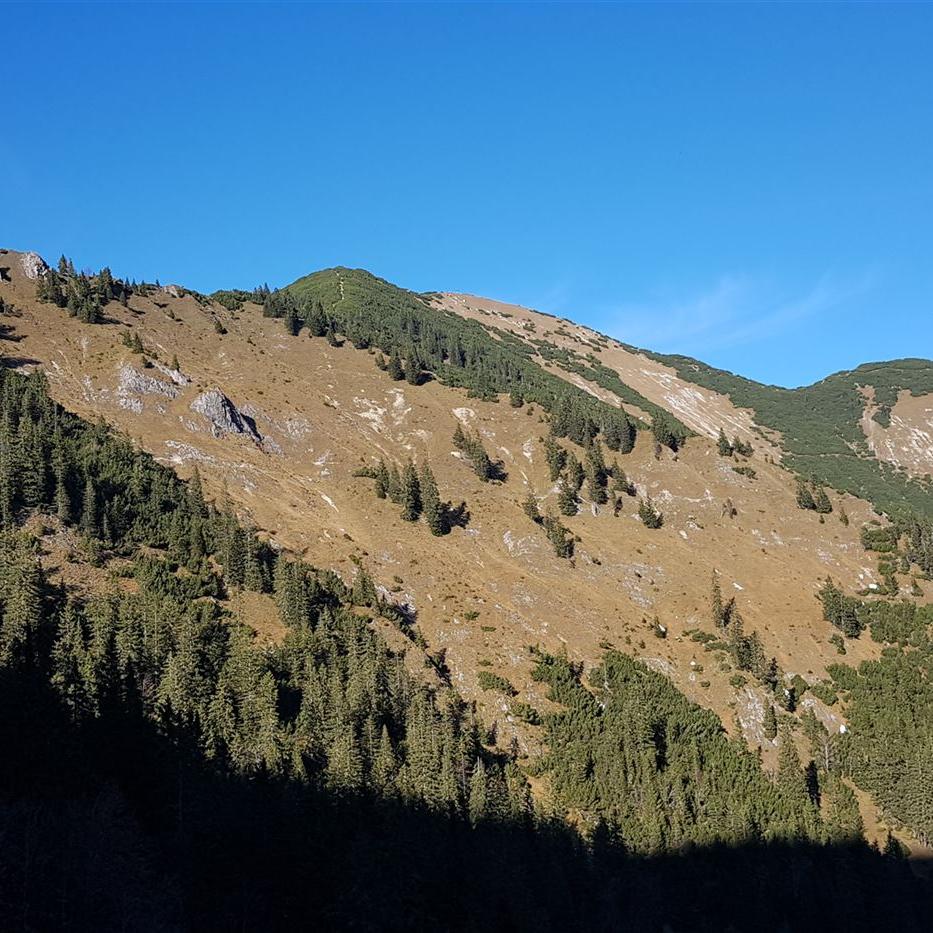 Blick zum Gipfel (von Westen)