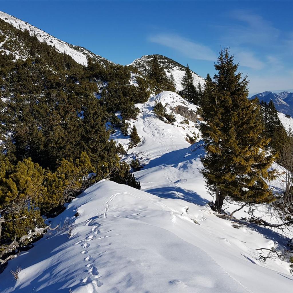 Aufstieg vom Hasenjöchl