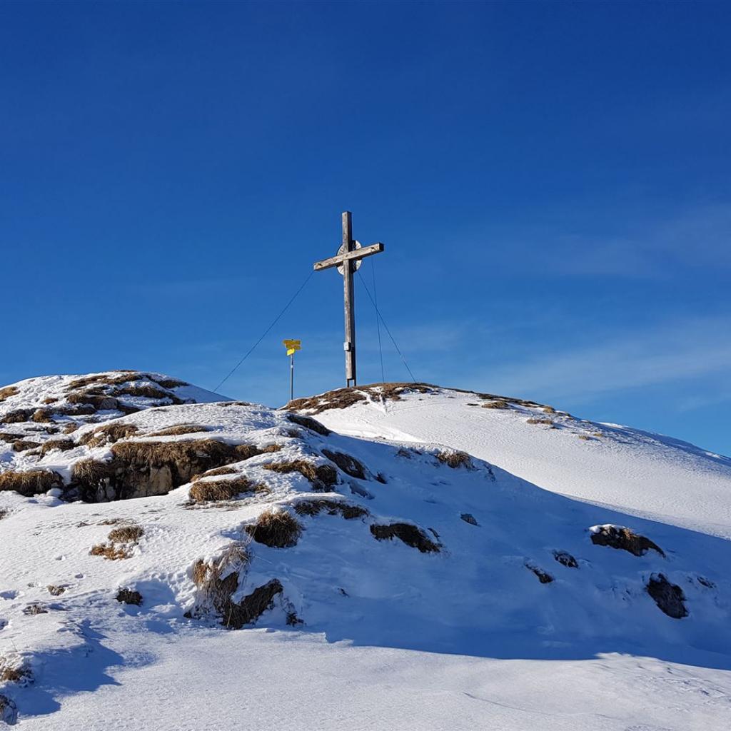 Kurz vor dem Gipfel (von Westen)
