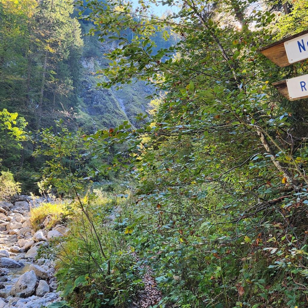 Durchs Bachbett des Gießenbachs