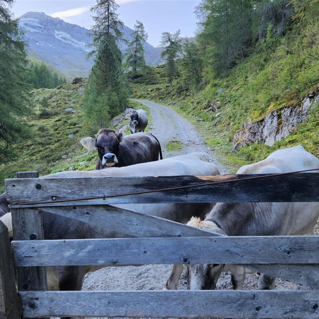 Erste „Blockadeaktion" nach wenigen Metern