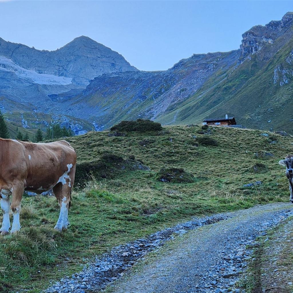 Erster Blick auf Olperer und Fußstein