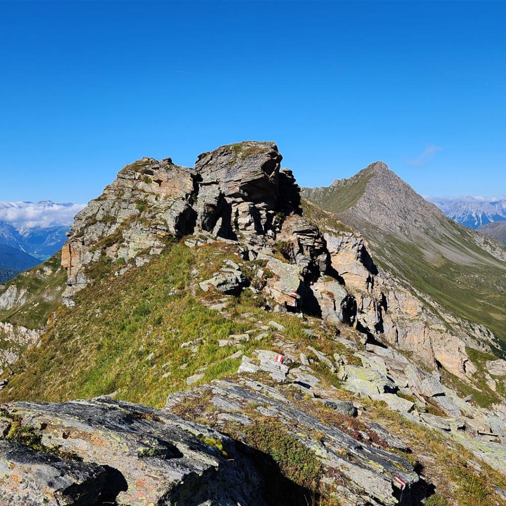 Joch zwischen Geraer Hütte und Wildlahnertal, Hintergrund: Hohe Warte