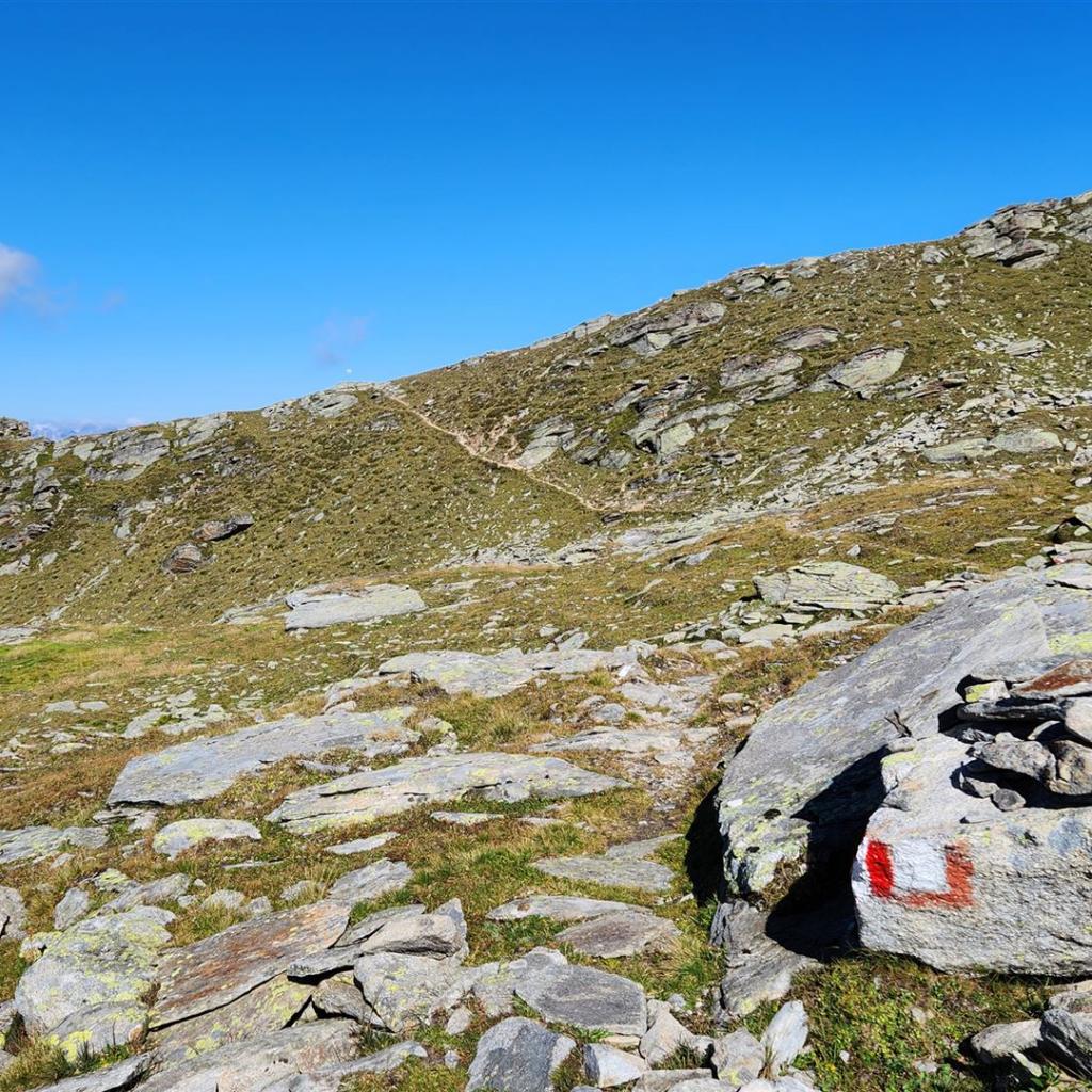 Das Joch zwischen Wildlahnertal und Geraer Hütte