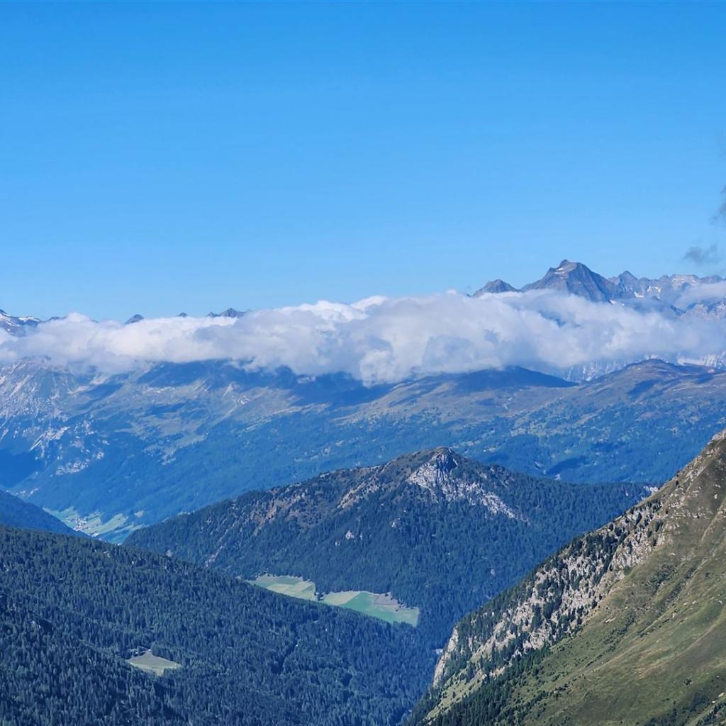 Blick zum Wilden Freiger und zum Habicht (Stubaital)