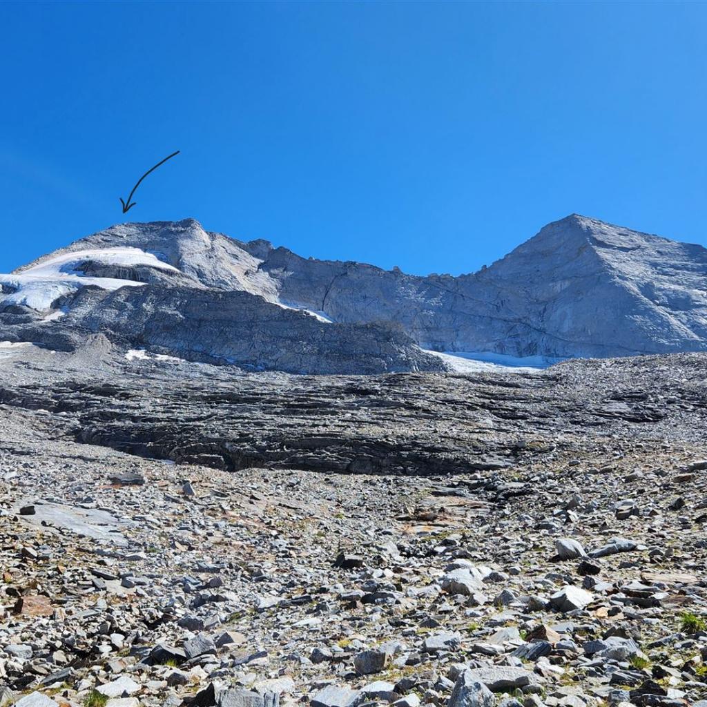 Der Gipfel des Olperers (Pfeil)