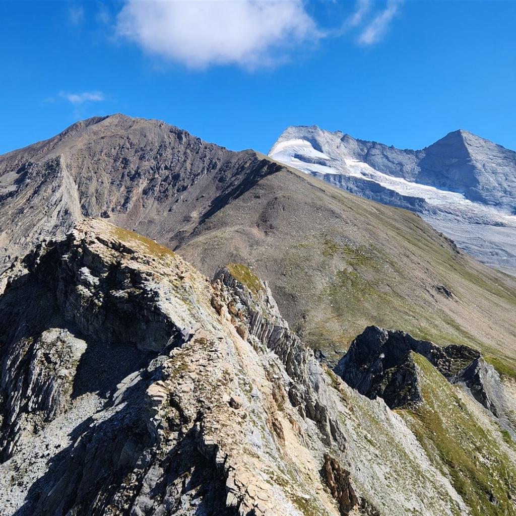 Blick von der Schoberspitz zum Olperer