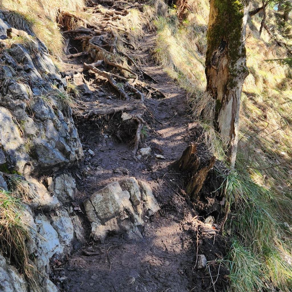 Steig zum Osterfeuerkopf