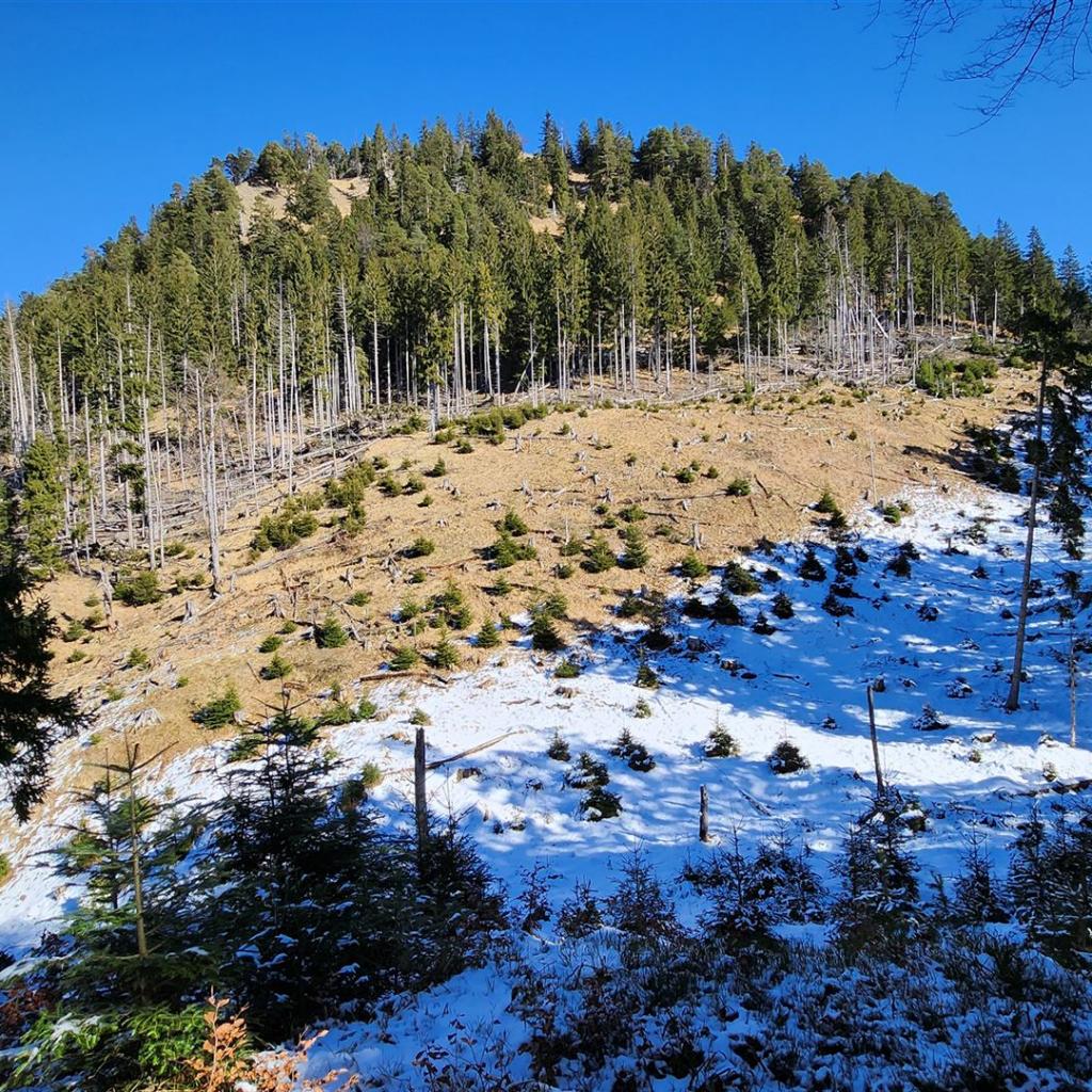 Der letzte Hügel zum Gipfel