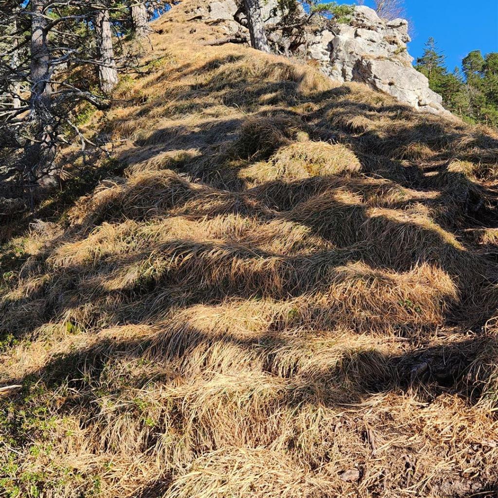 Der Grat hinterm Heldenkreuz