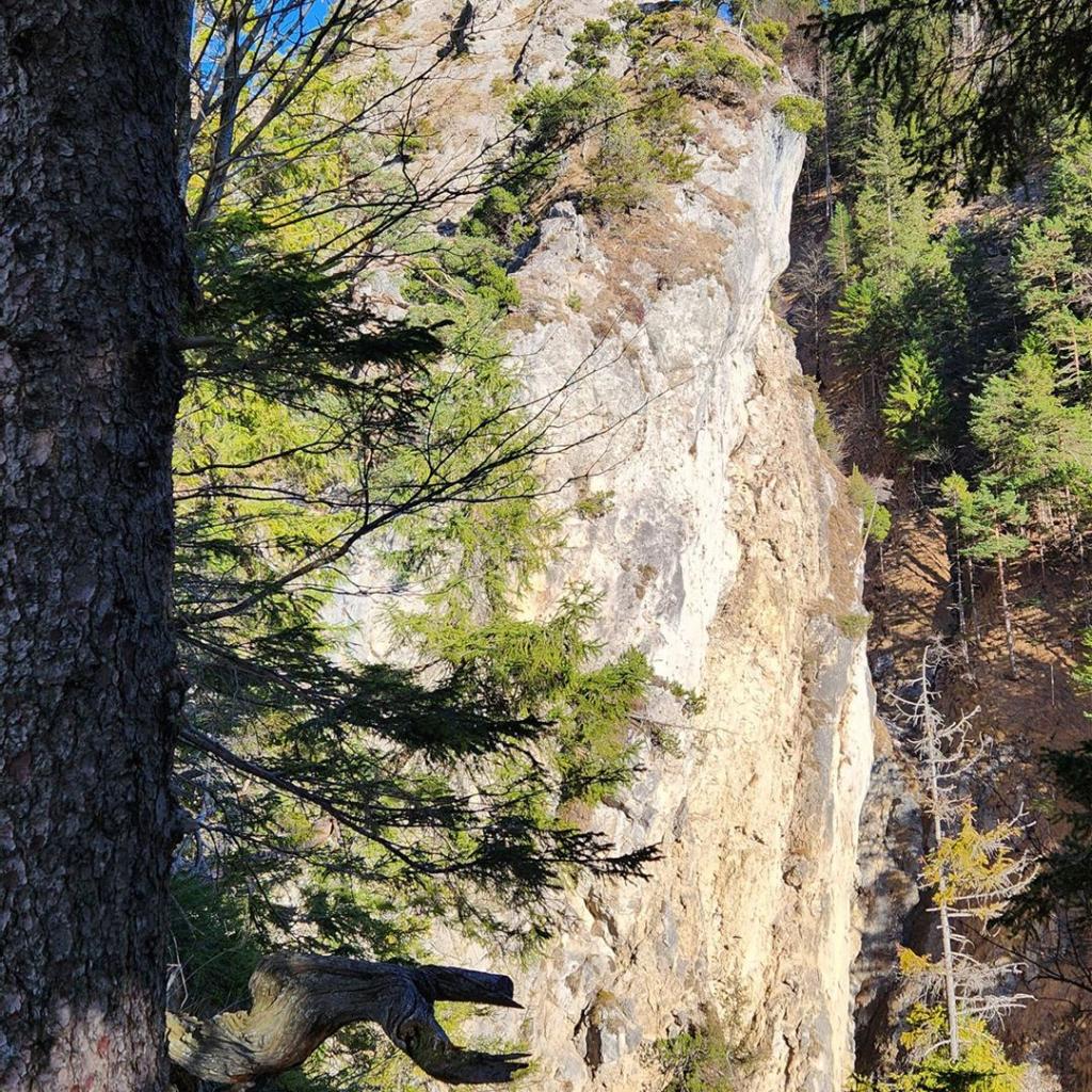 Da würde es drüber gehen