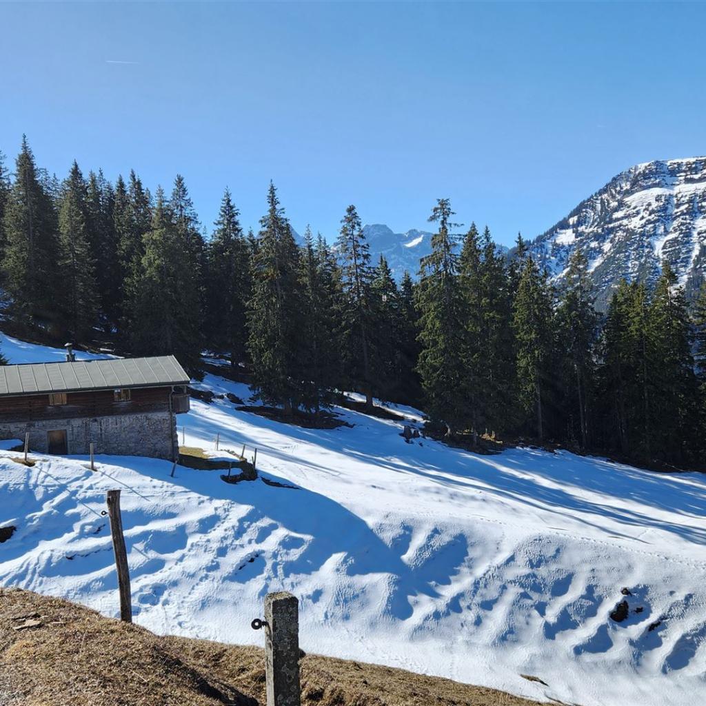 Mooslahneralm mit Vorderskopf