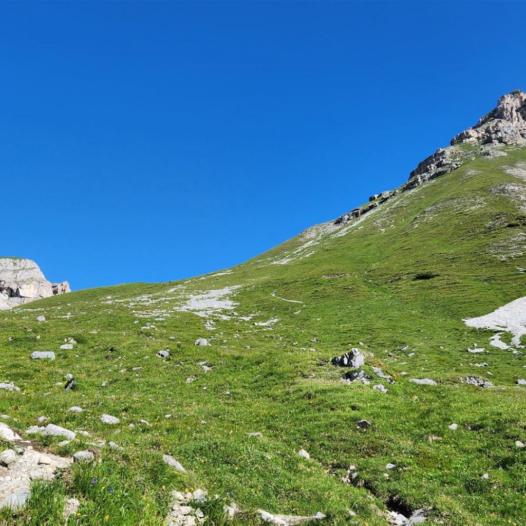 Kurz vor dem Serlesjöchl