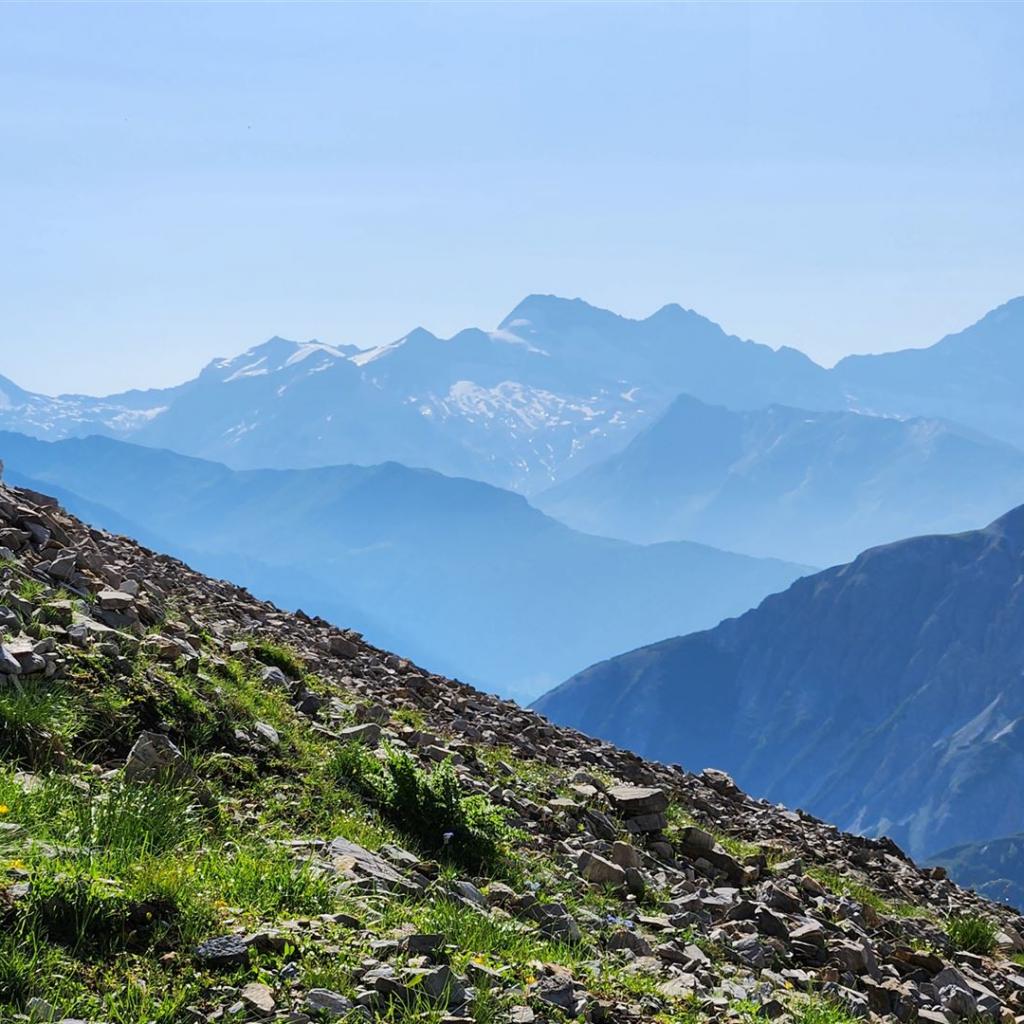 Blick hinüber zum Olperer