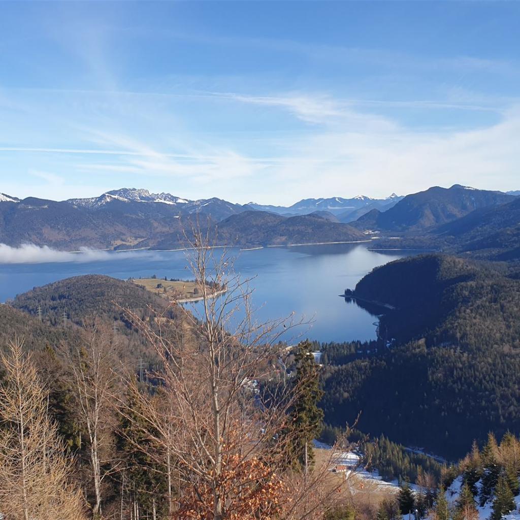 Blick auf den Walchensee