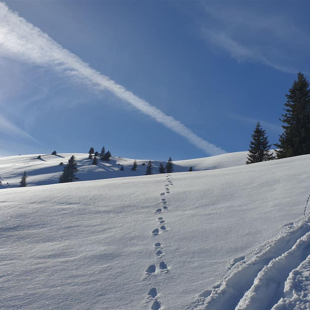 Schneewüste vor dem Gipfelstock