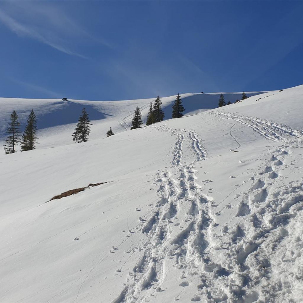 Schneewüste vor dem Gipfelstock