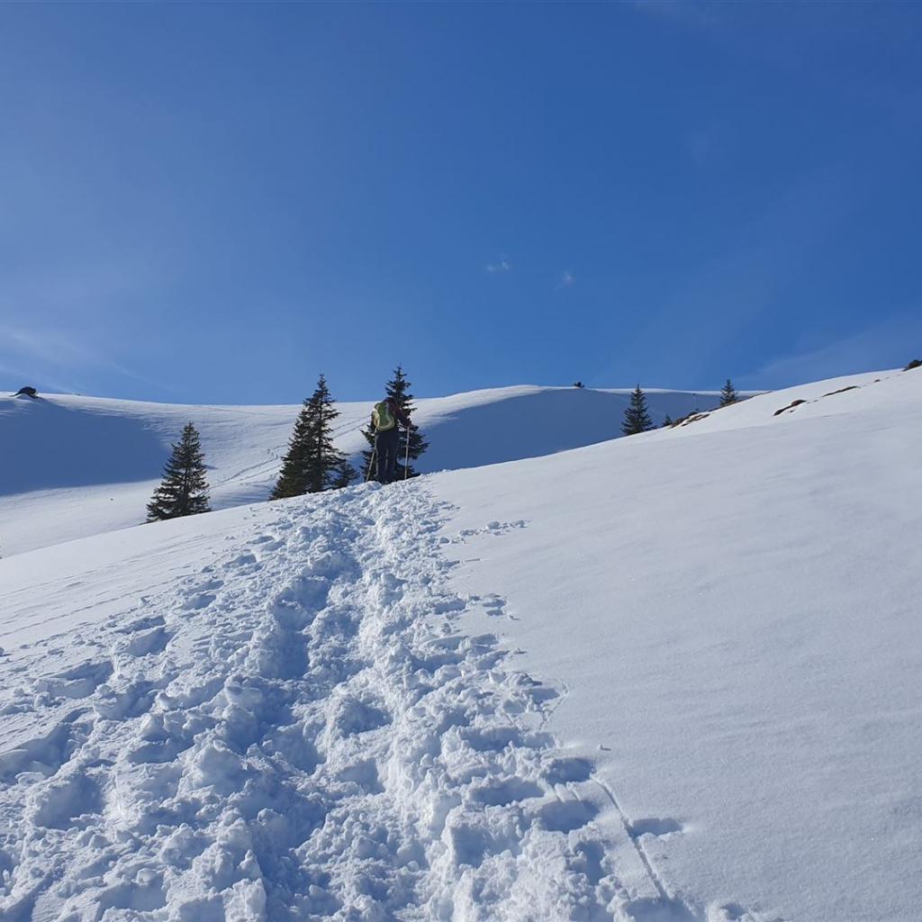 Schneewüste vor dem Gipfelstock