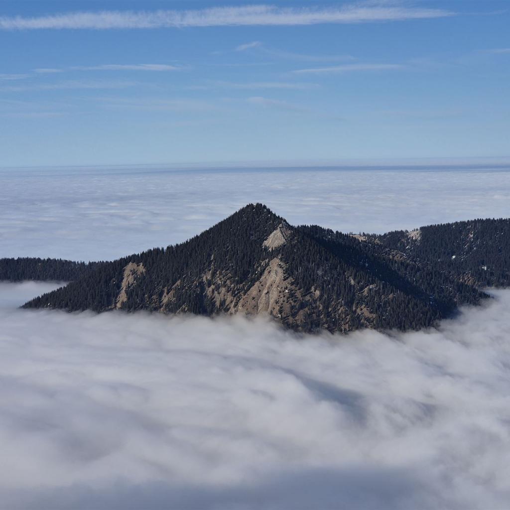 Der Osterfeuerkopf im Nebelmeer