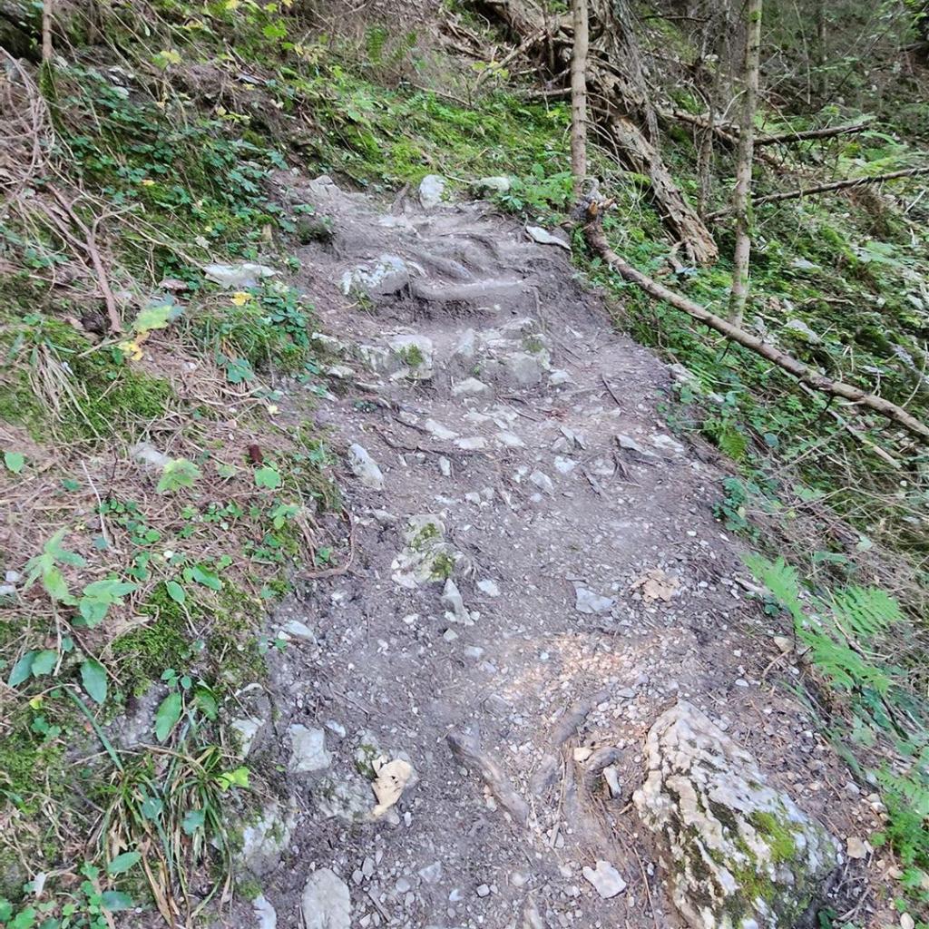 Steig hinauf zum Zahn