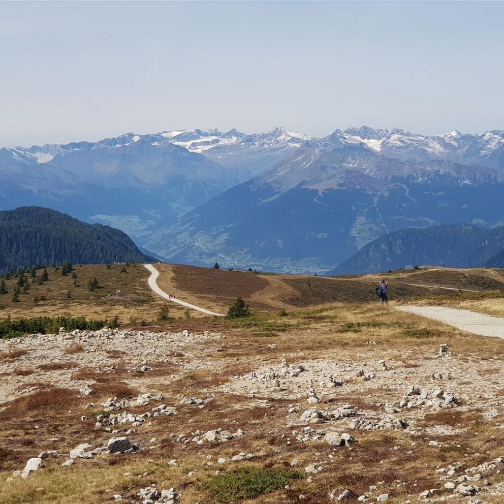 Wilder Pfaff, Wilder Freiger u. Pflerscher Tribulaun (2022)