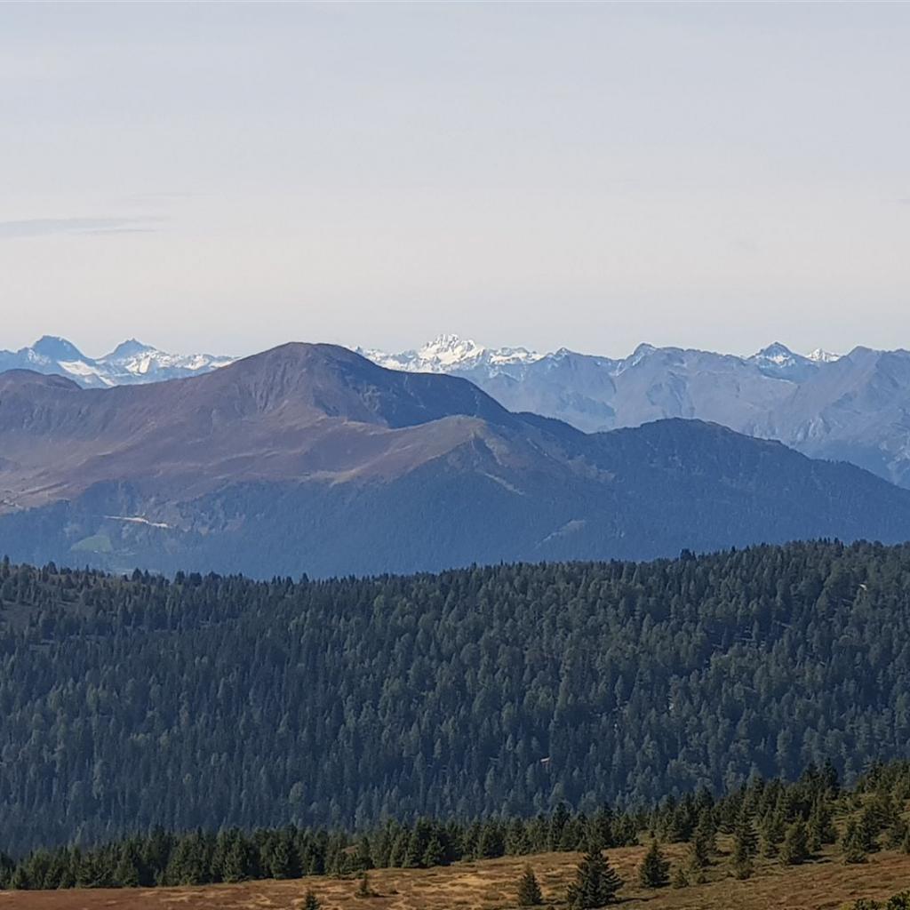 Die Wildspitze (2022)