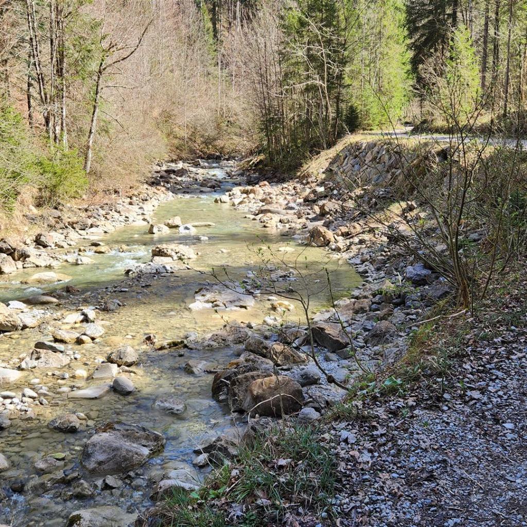 Entlang des Lainbachs