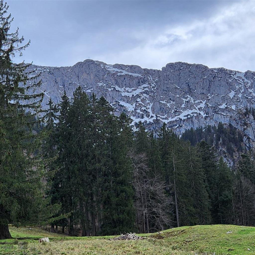 Erster Blick auf die Benediktenwand