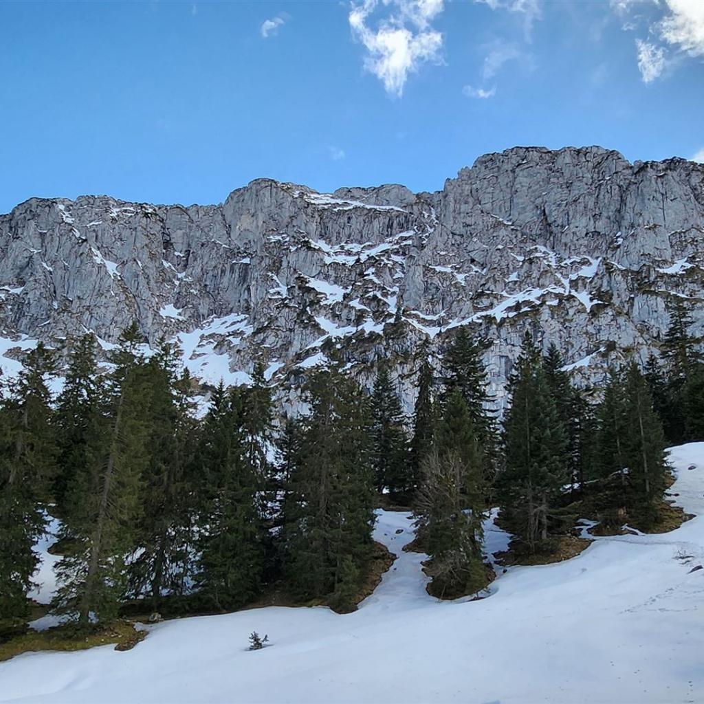 Benediktenwand ganz nah