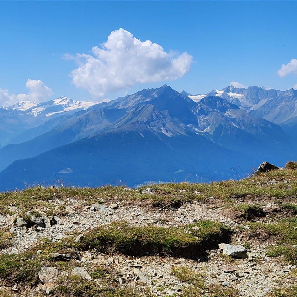 Blick auf Cevedale und Ortler