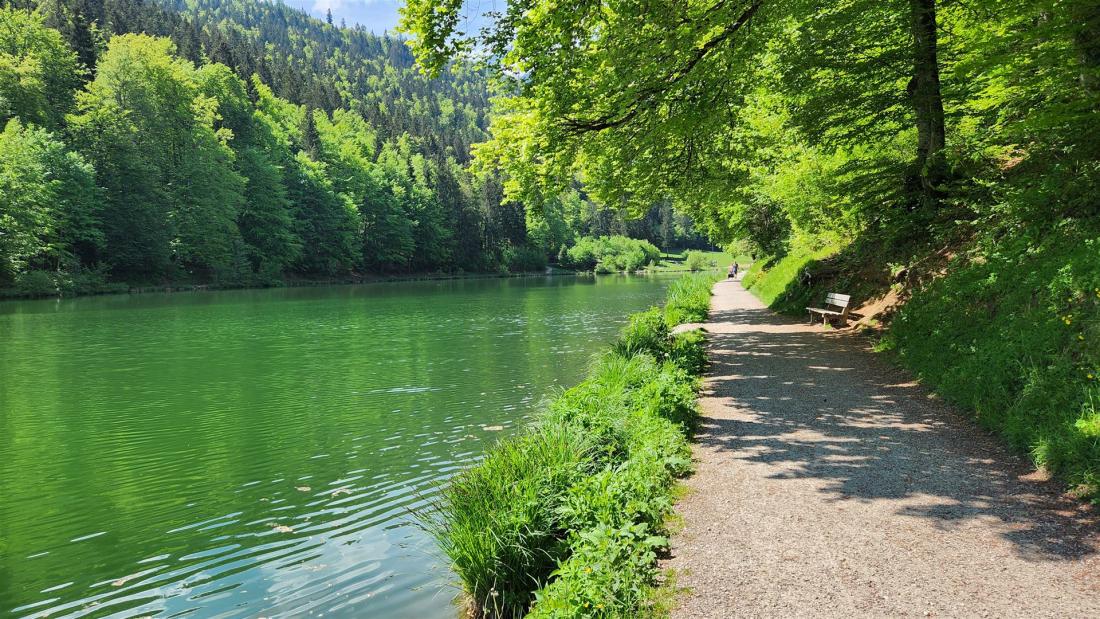 Weg entlang des Rießersees