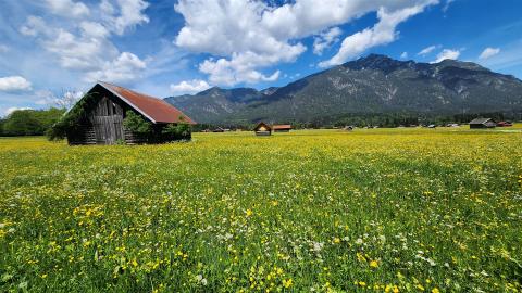 Über die Wiesen vor Hammersbach