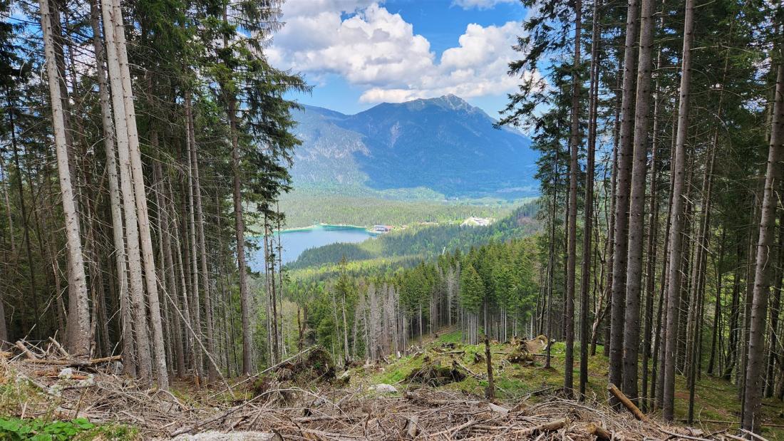 Zweiter Blick auf den Eibsee